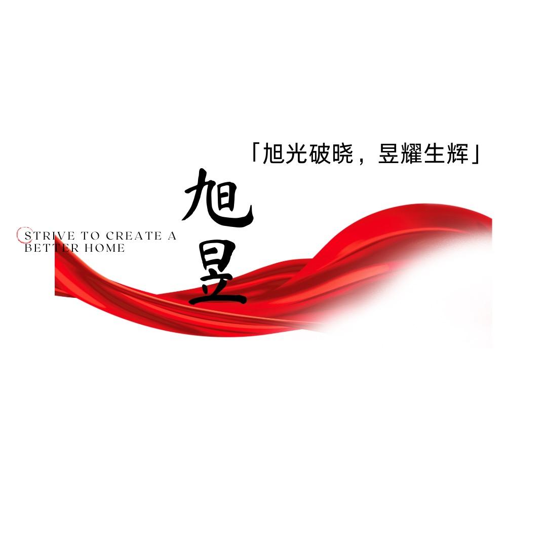 河北旭昱起动马达