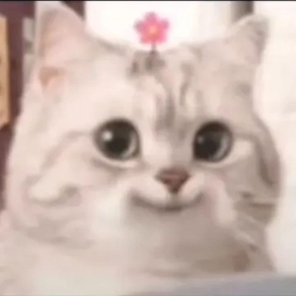 你的辉辉