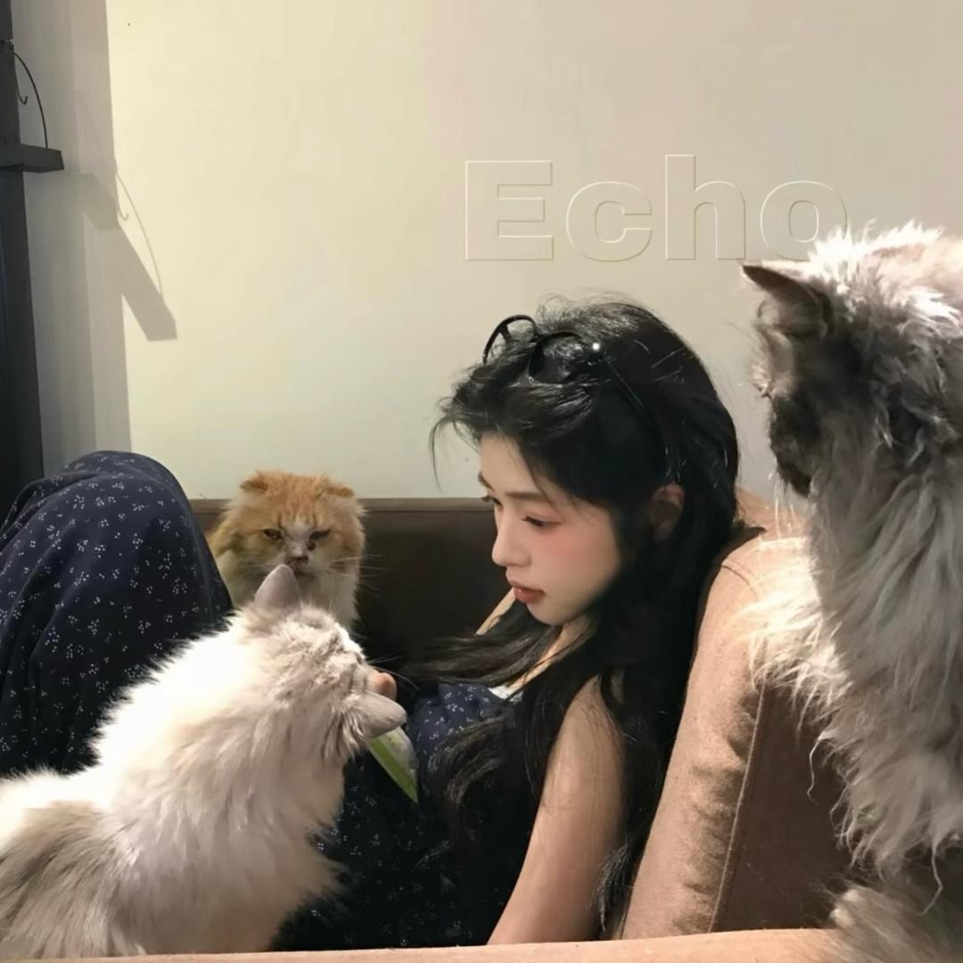 小高吃不饱