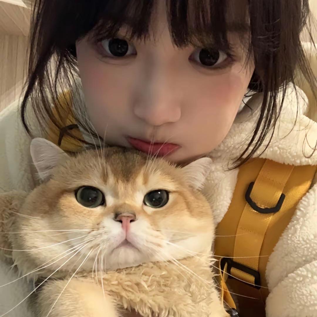 小🐷