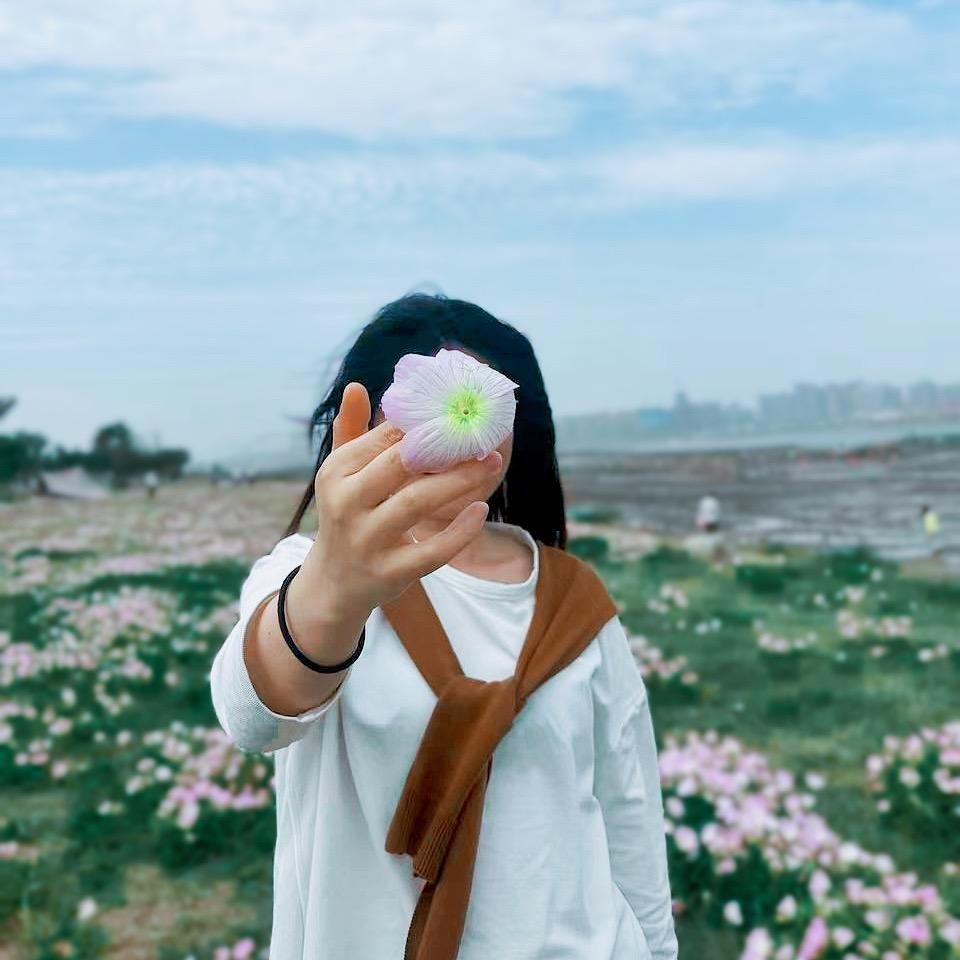菜菜不🥬