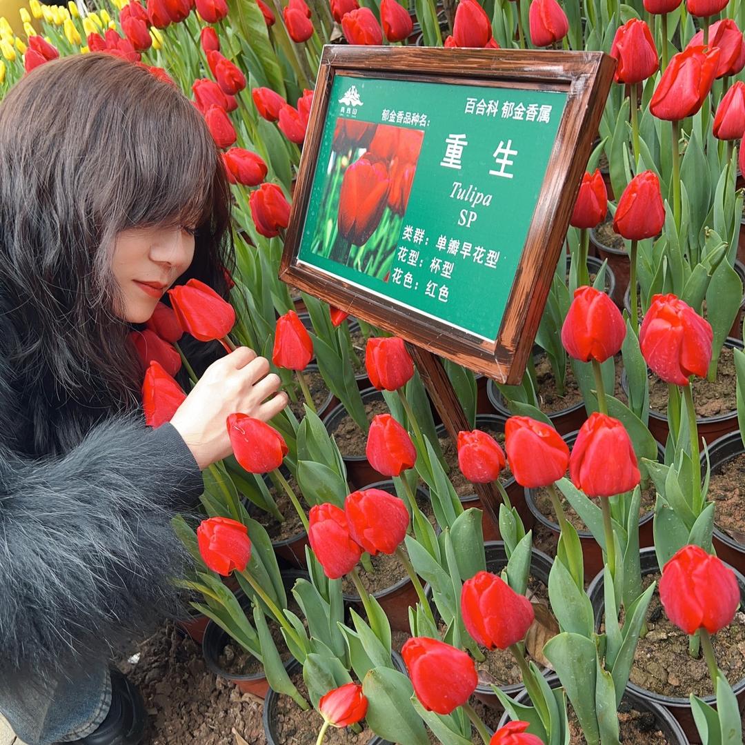 西部来客(后河店)官方号