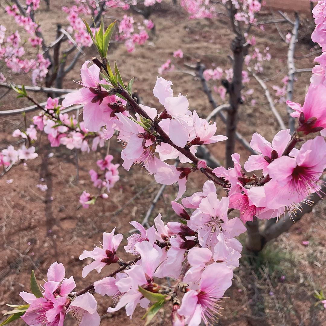 脾气不好 性子傲