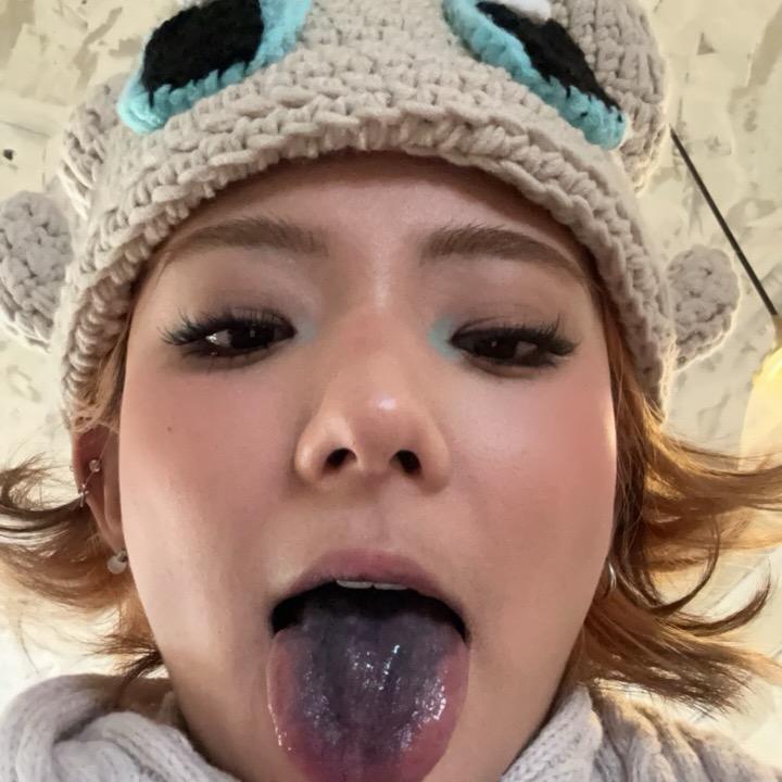 假猫