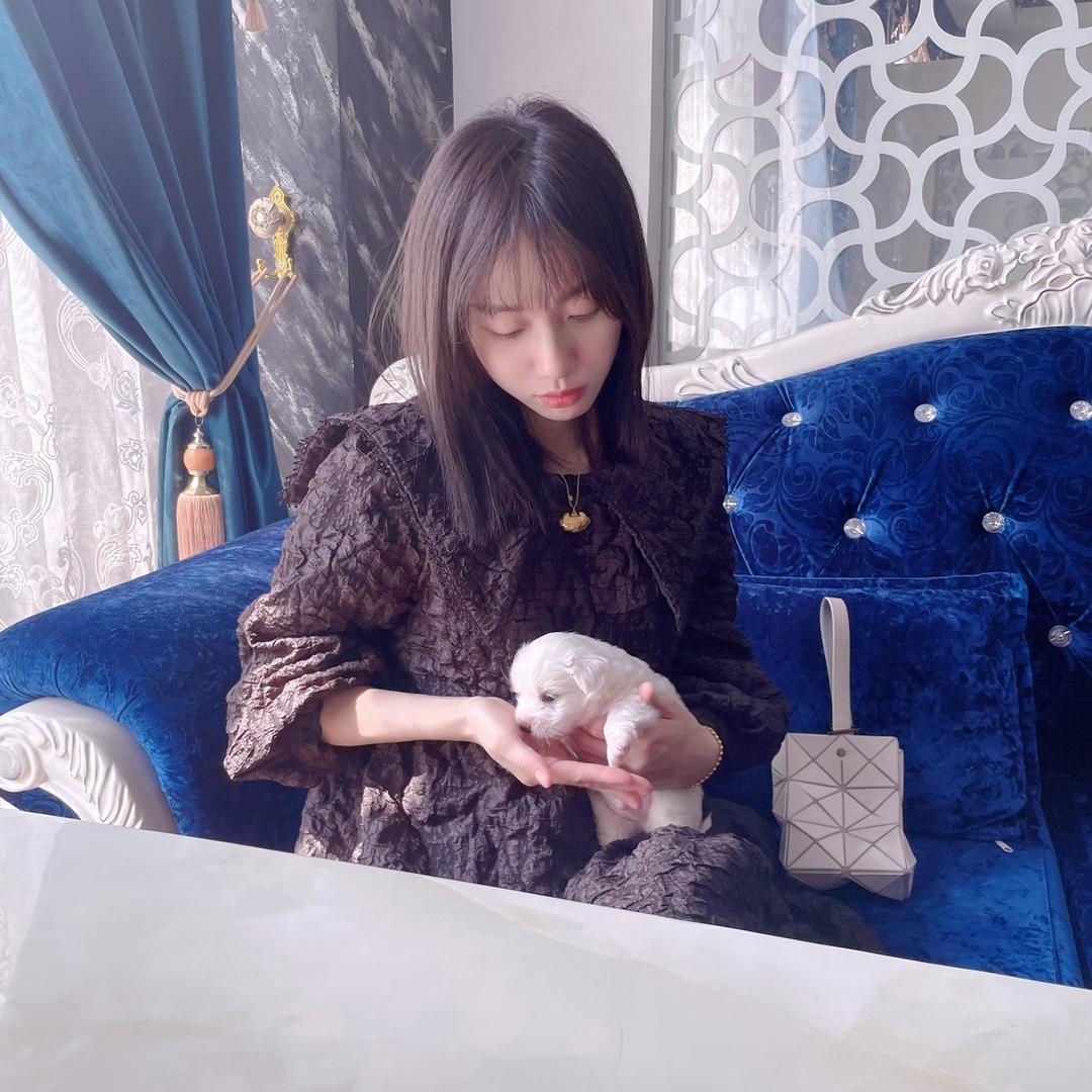 村里的猫