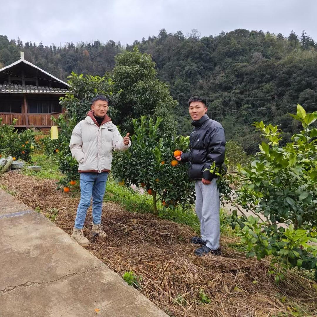 王同学、小黄的客服