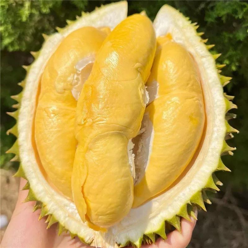 泰果多绿果鲜水果专卖店