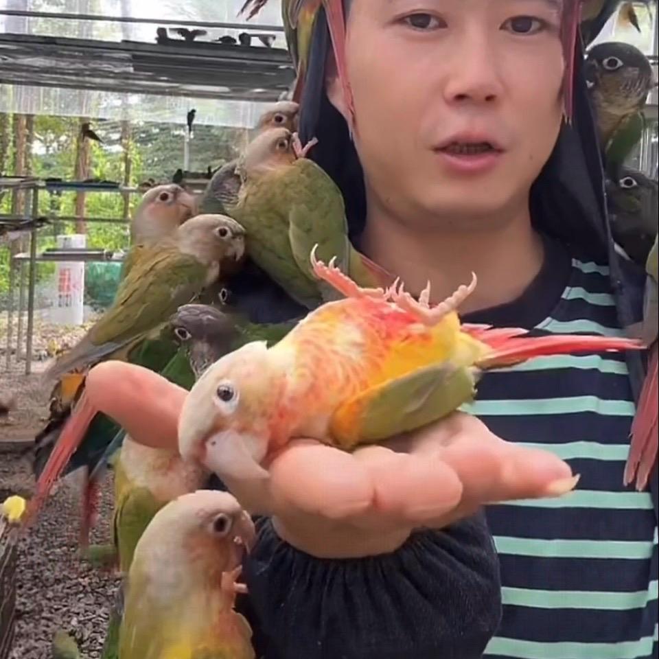 鸟瞰天下人