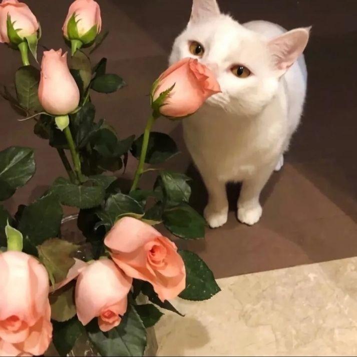 我会发财吗