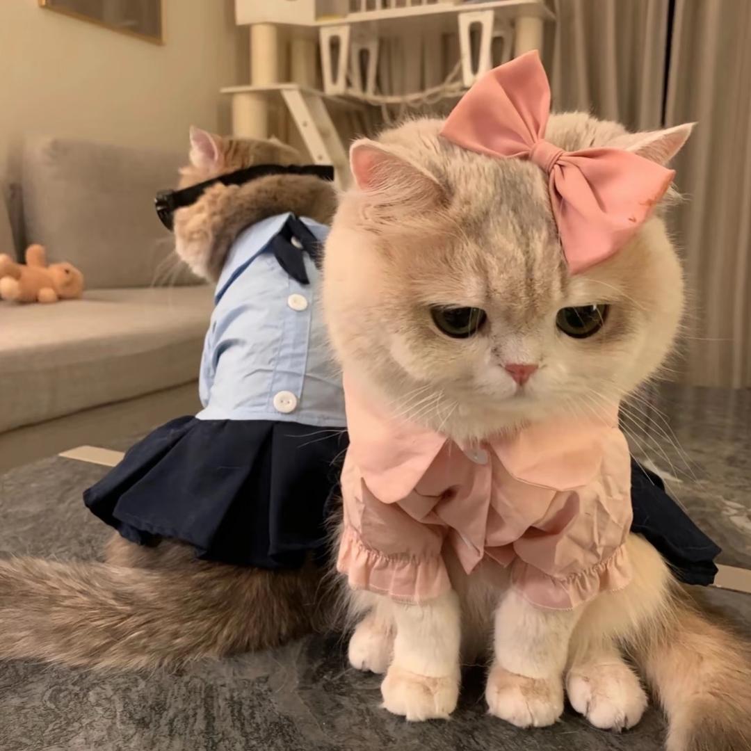 披萨大王