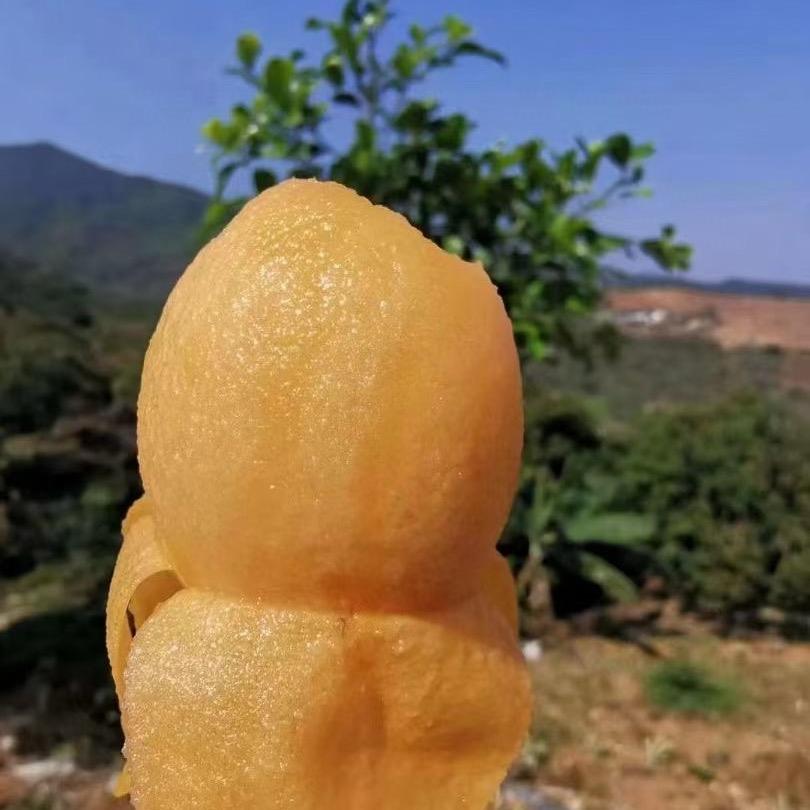 果蔬妹妹