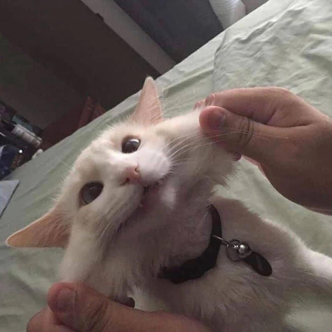 保持理智u