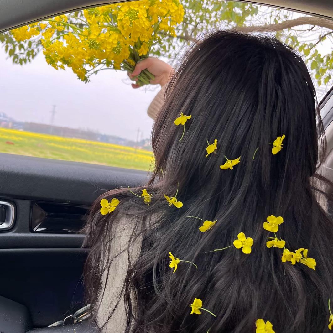 吃撑的棉花糖💨