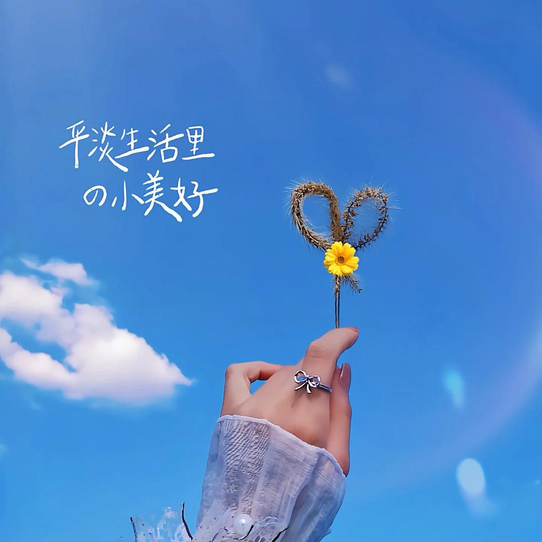 好人一生平安（6号）