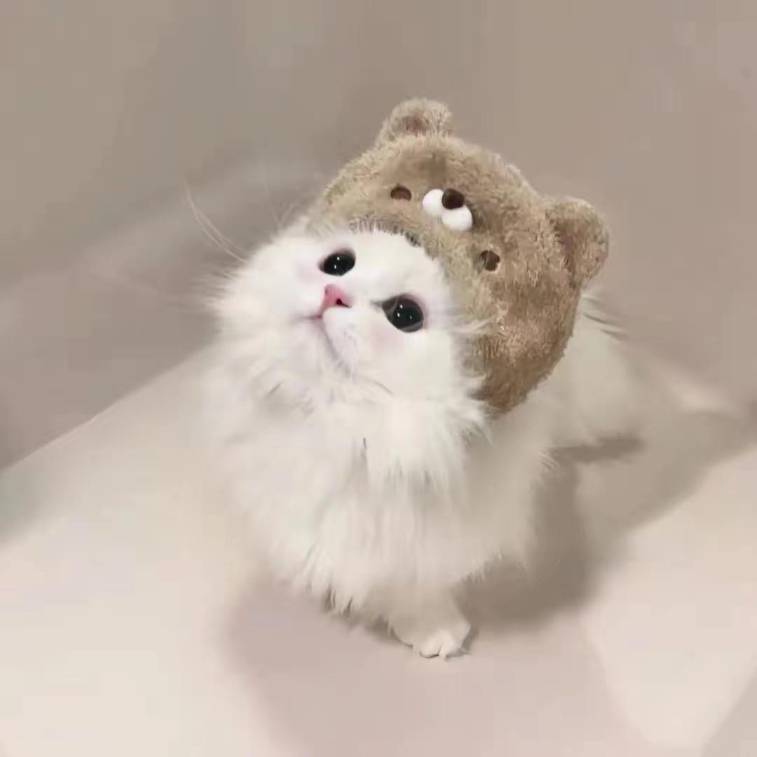 撕心