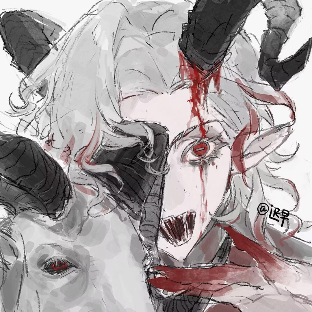 鲨琪玛🐏