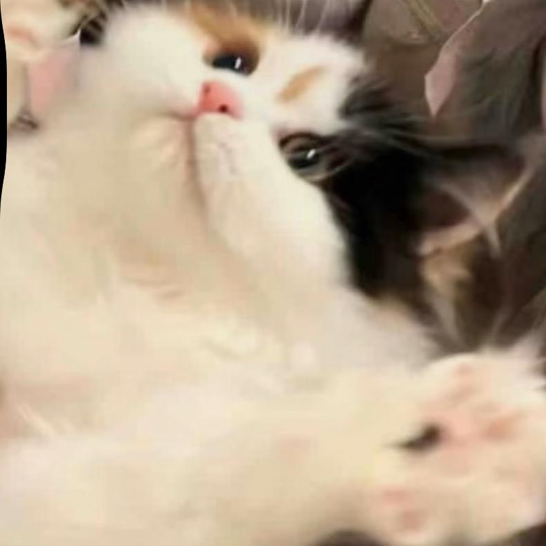 武鸣南师小咩学姐