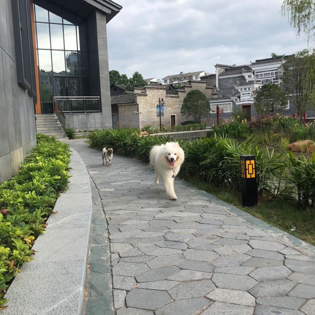 鑫博海品质馆