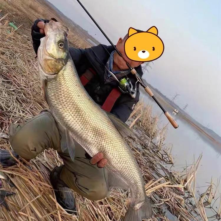 德钓莱渔具优选