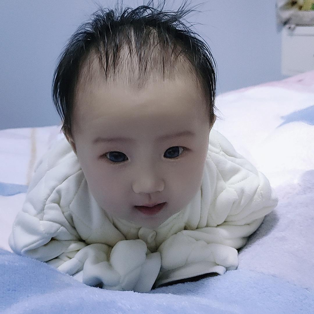 华中卖煤小黄