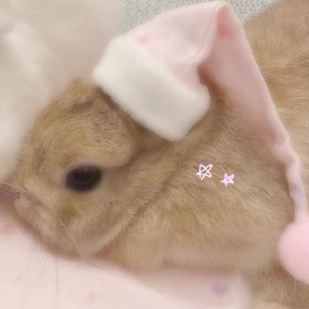 蚊子药
