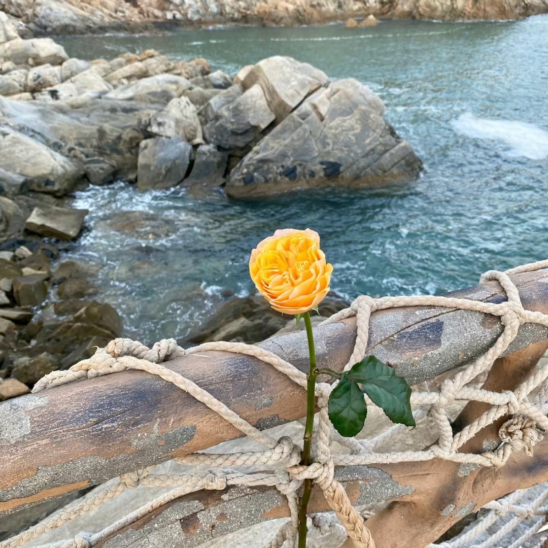 北海道的冬天