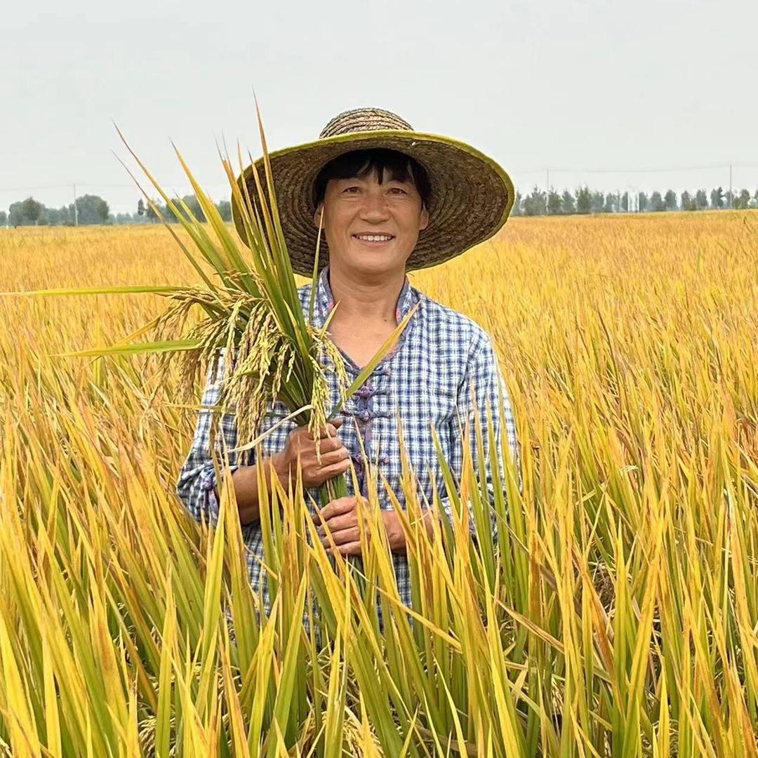杨玲石磨面粉