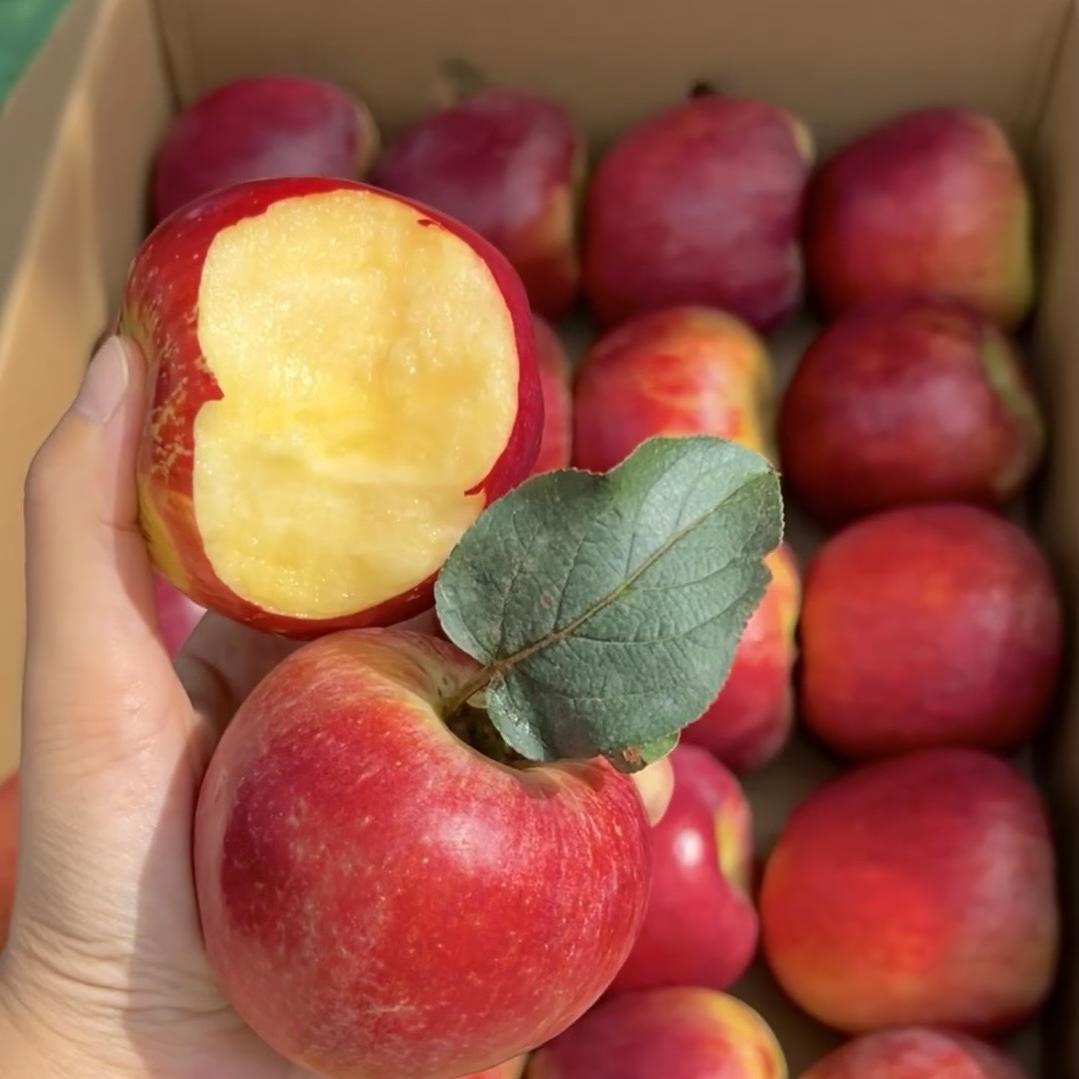 富民宇瑞鲜果铺