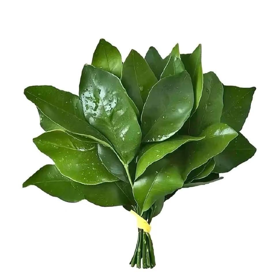 韩剧女二👸🍠