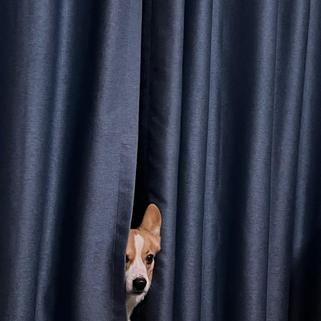 心机之🐸一直摸你肚子