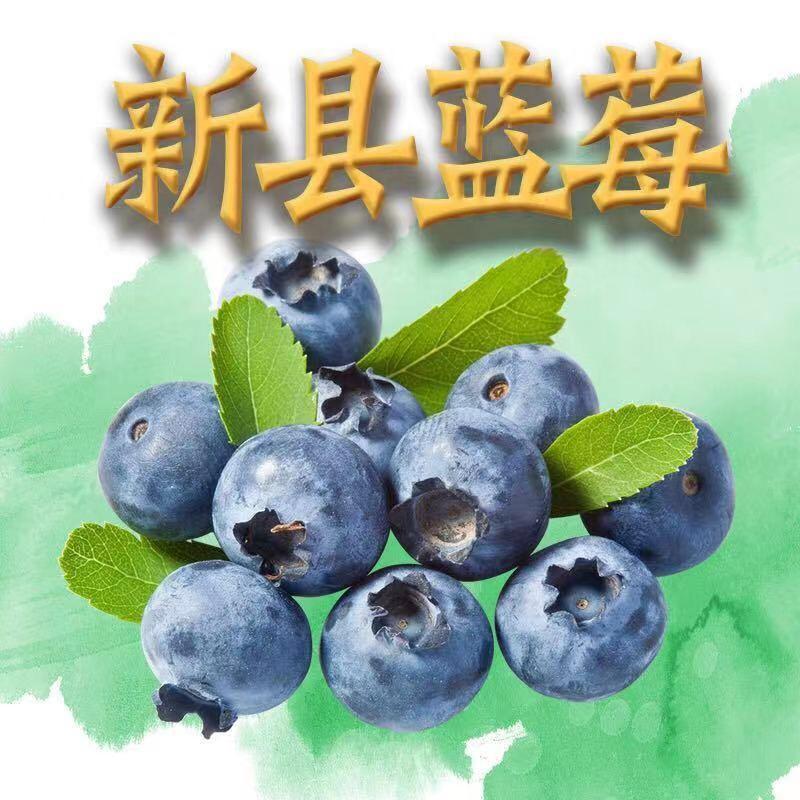 汇佳农业