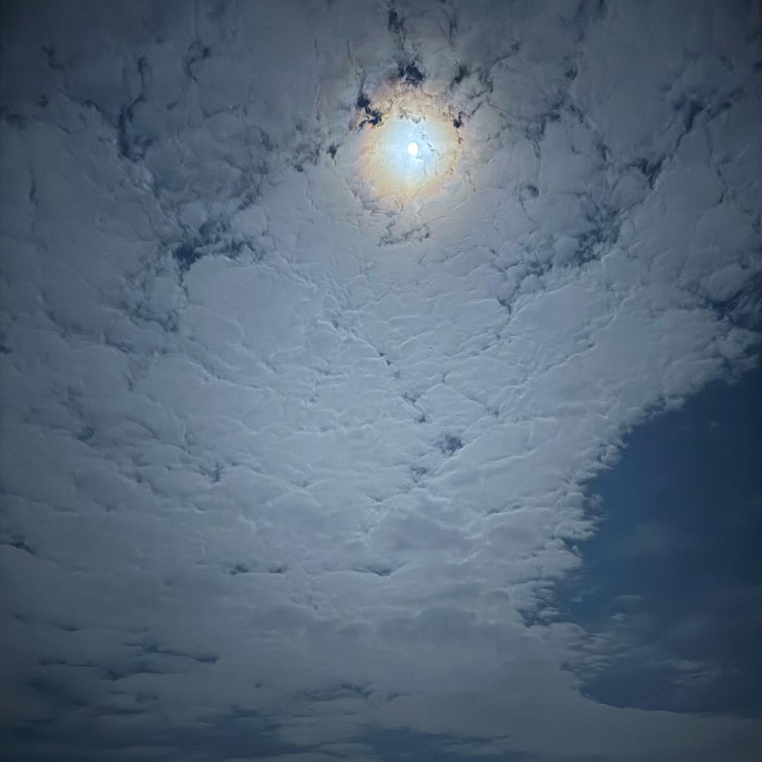 嗯哼