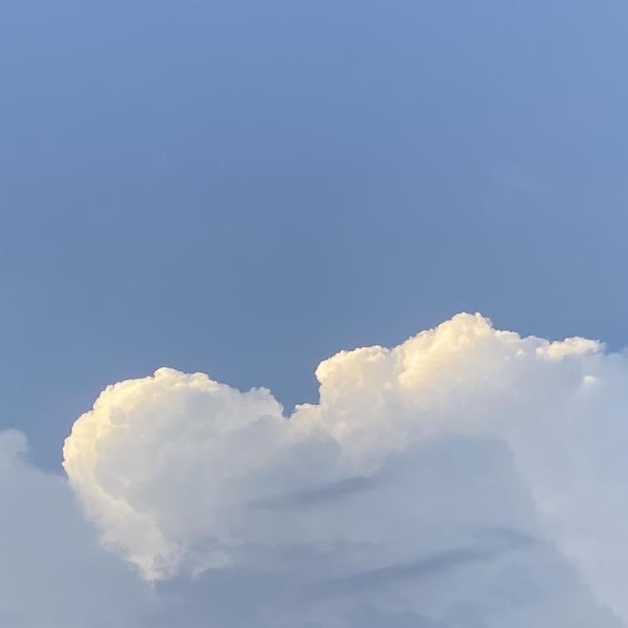 MT