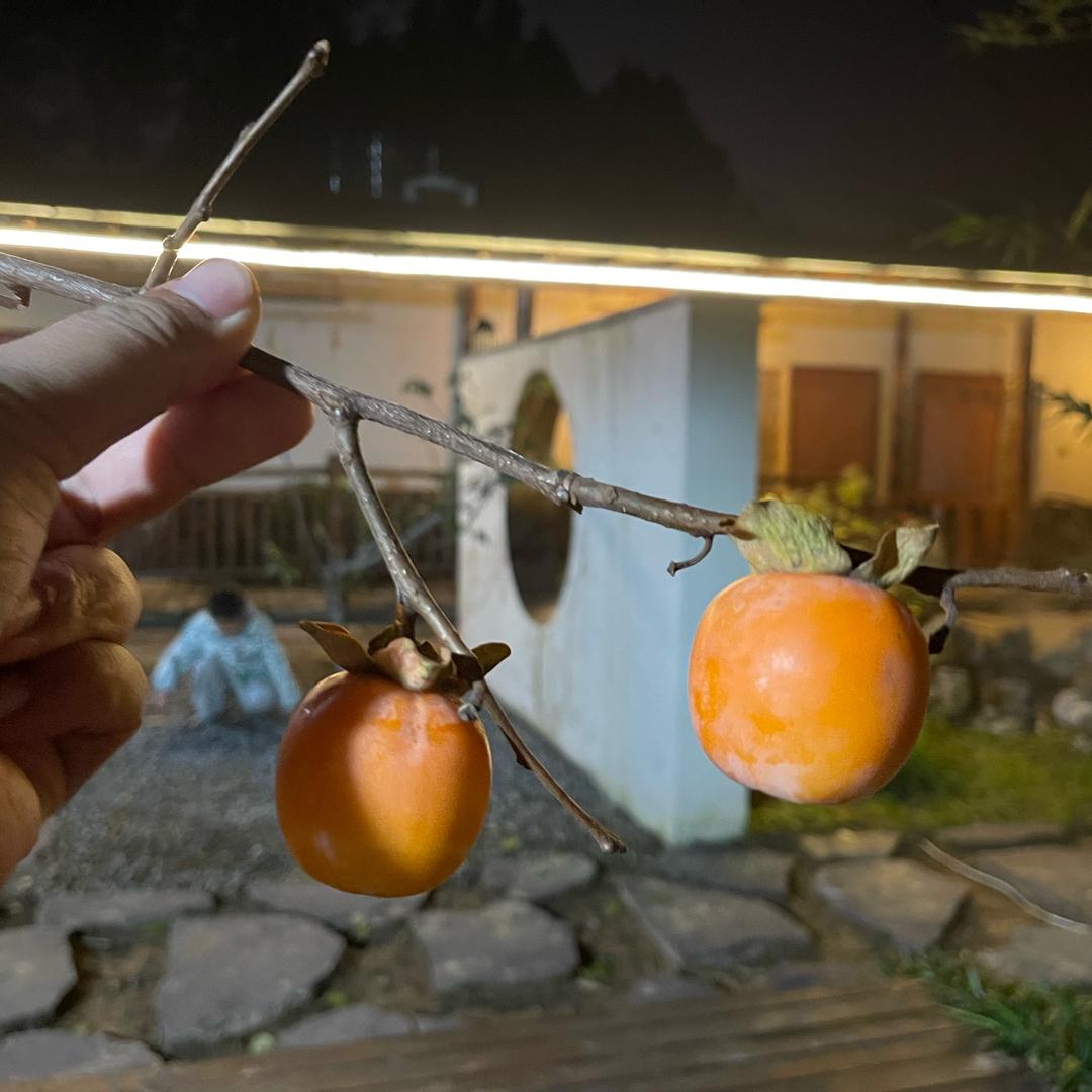 教孩子的朱老师