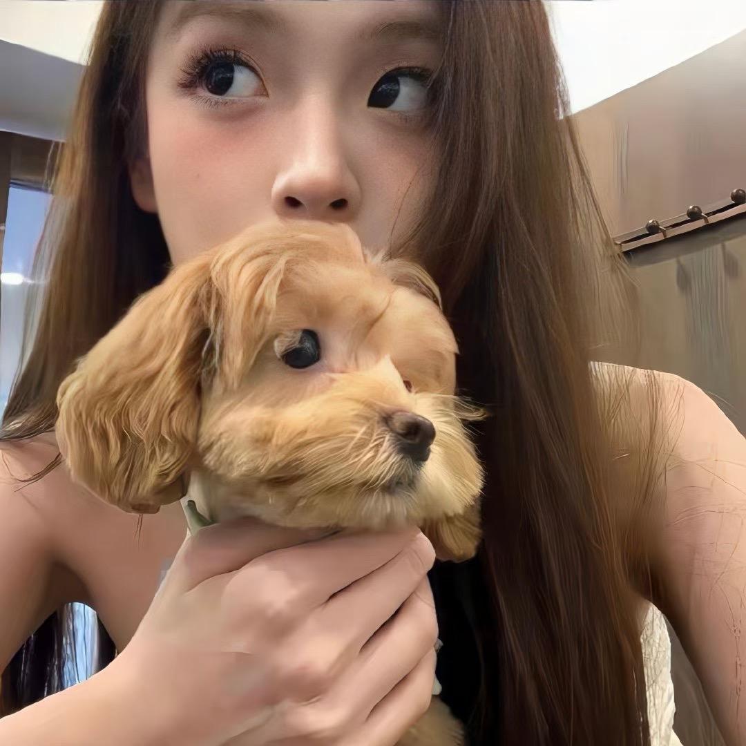 糕冷小美💙