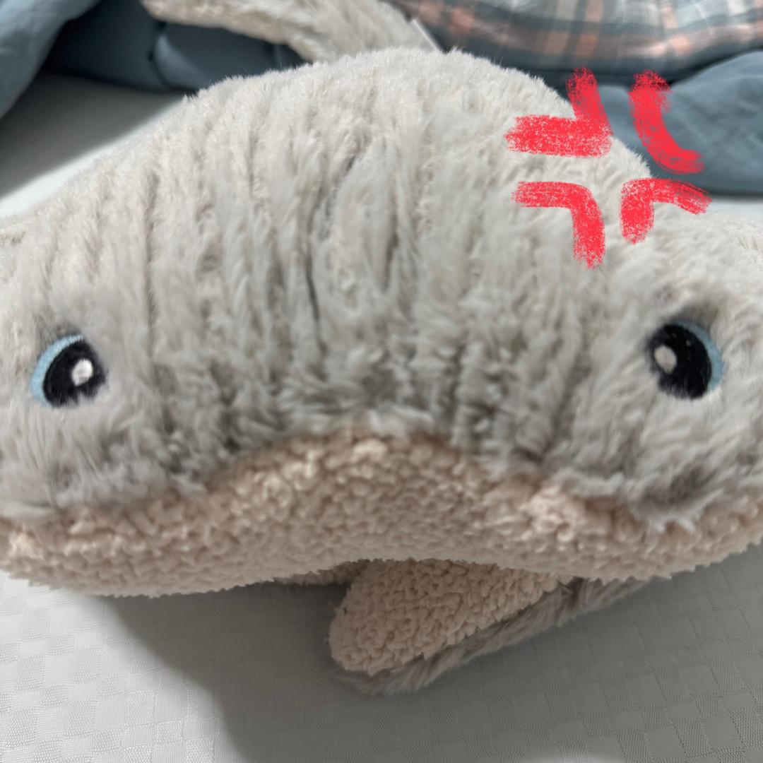 ray