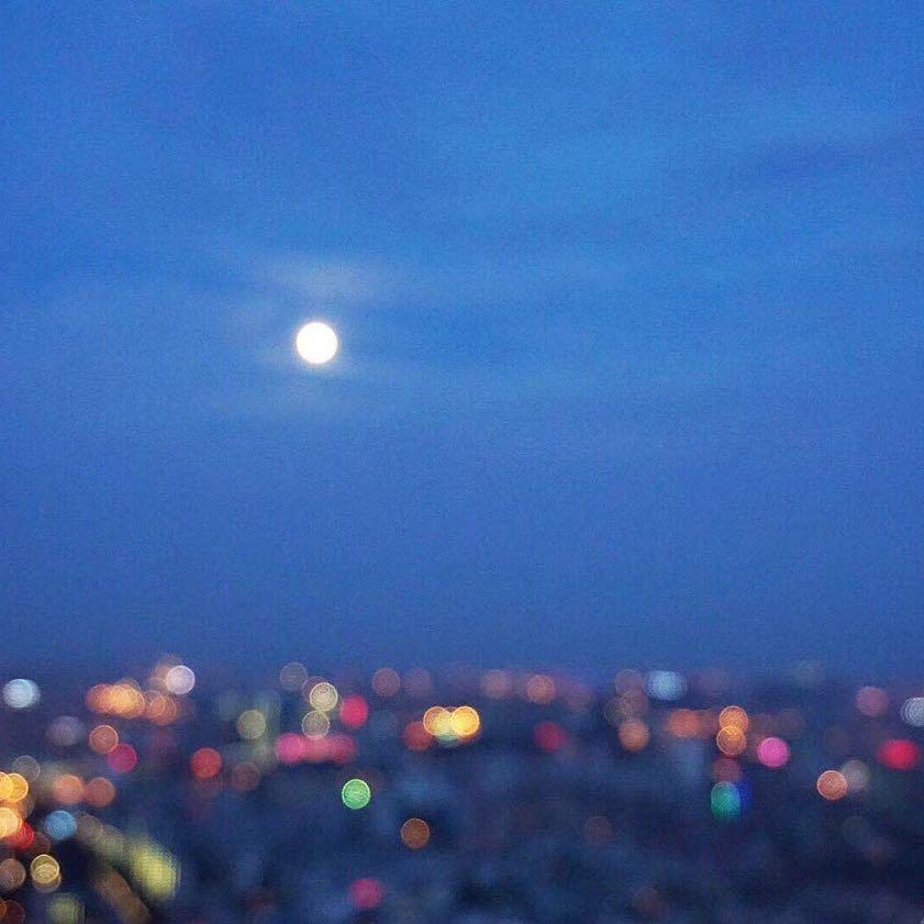 小小马