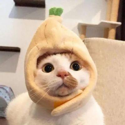 巧克力爱上牛奶🌟