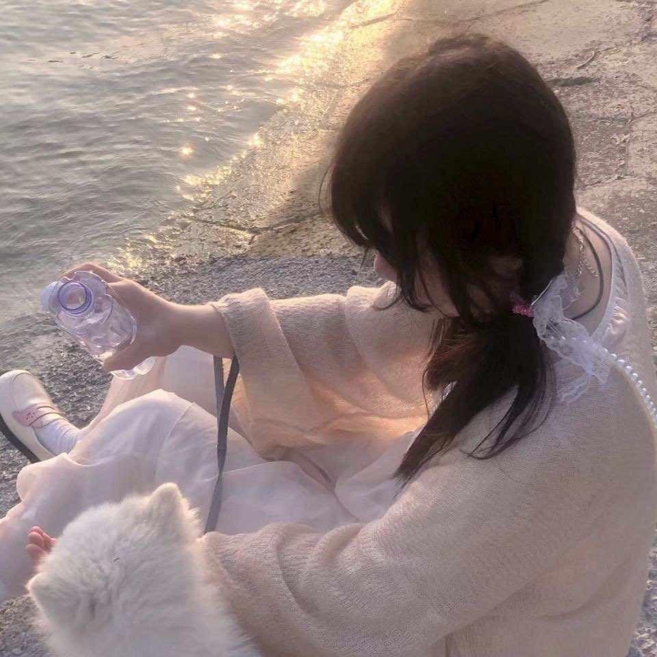 小猫恶霸
