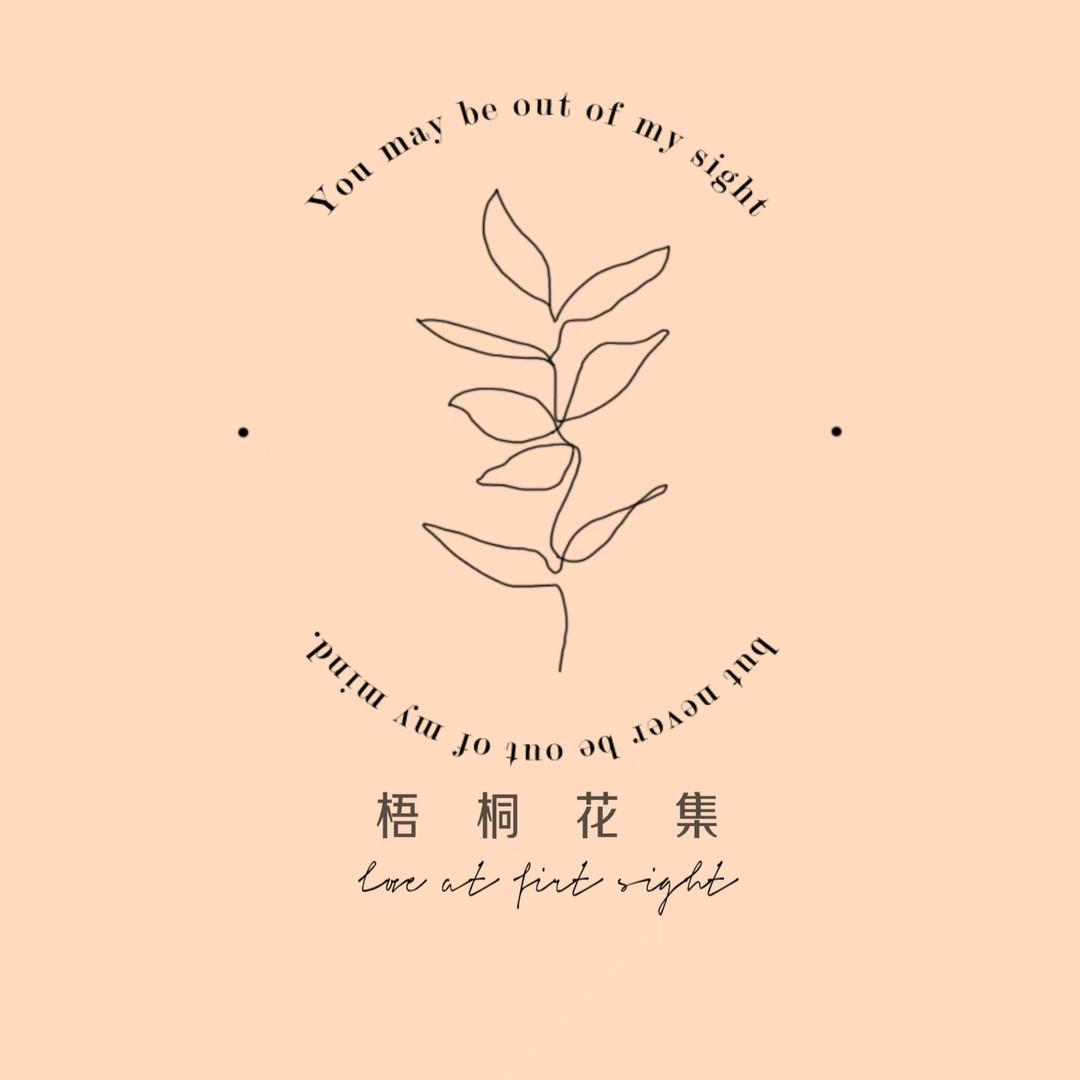 梧桐花集家居绿植
