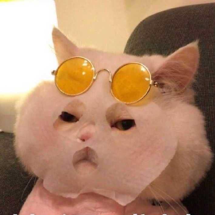 想去吧