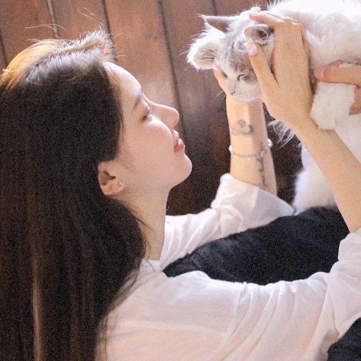 土豆 ㅤㅤ 　 ㅤ