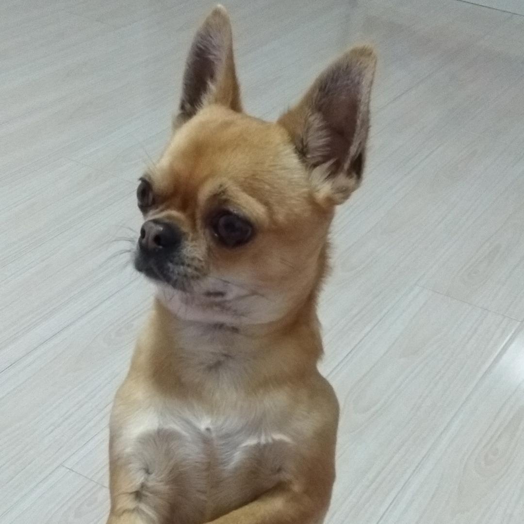 幸福万年长