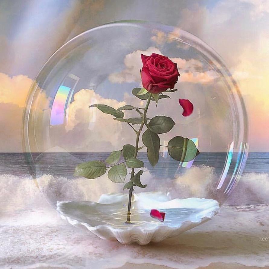 @🦋. Waཀྃng࿐