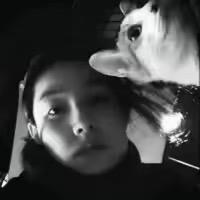 如果你开挖掘机我也会爱你