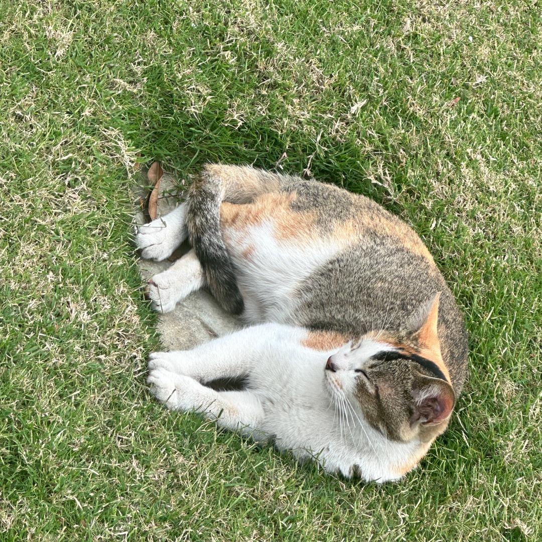 小喜顶越户外