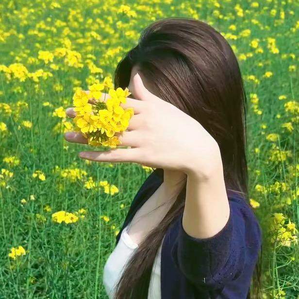 丹丹来了🌻