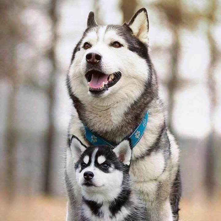 超有爱