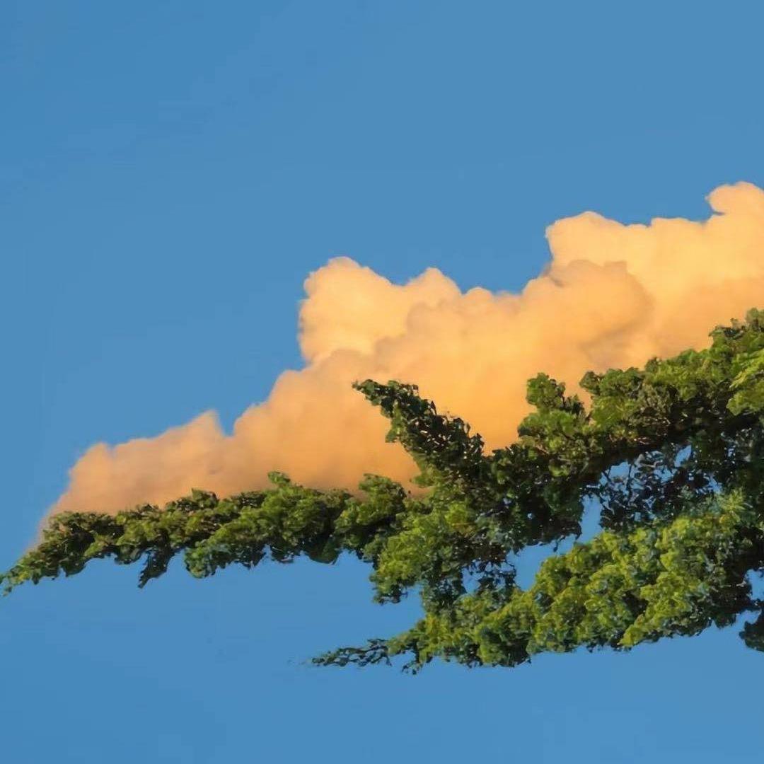 。。。。。。！