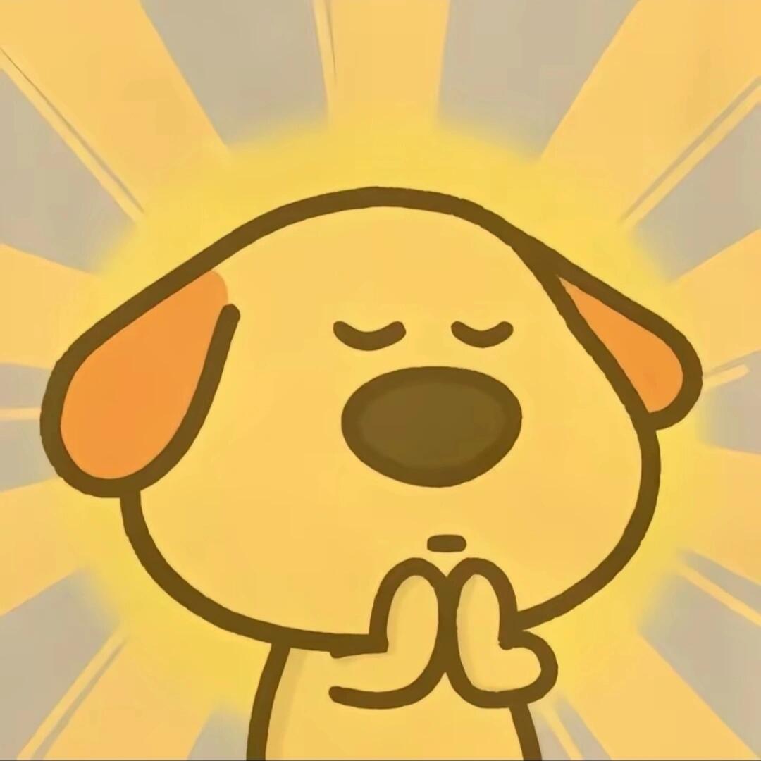 沈教练